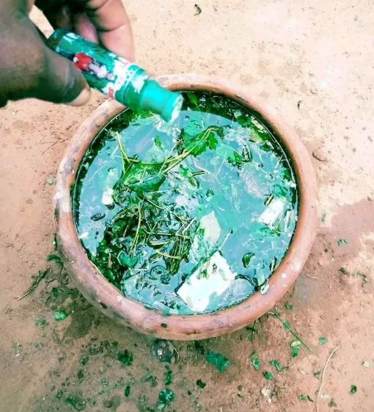 Bain de Purification aux Plantes Vertes