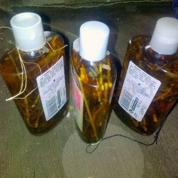Huiles Rituelles aux Plantes